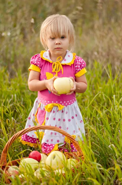 Маленькая девочка с корзиной свежих яблок — стоковое фото
