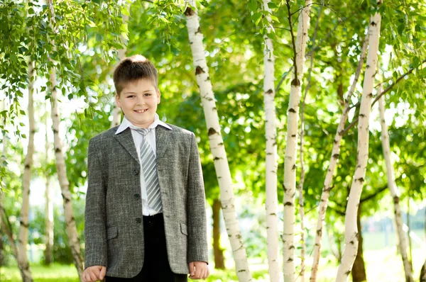 Een jongen in een forest berk — Stockfoto