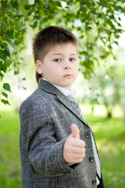 Ein Junge im Birkenwald — Stockfoto