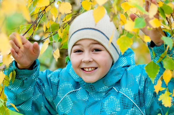Un ragazzo in una foresta di betulle in autunno — Foto Stock