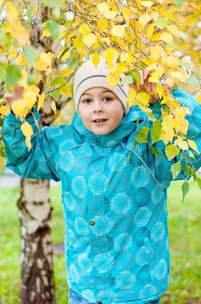 Un ragazzo in una foresta di betulle in autunno — Foto Stock