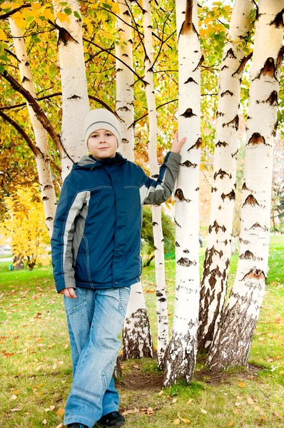 Un niño en un bosque de abedules en otoño — Foto de Stock