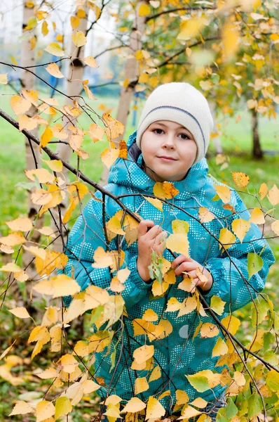 Un niño en un bosque de abedules en otoño —  Fotos de Stock