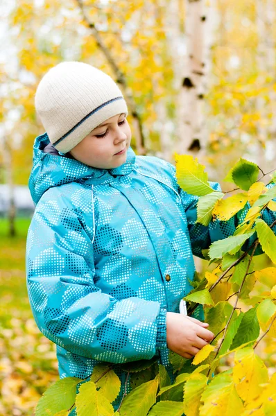 Un niño en un bosque de abedules en otoño — Foto de Stock