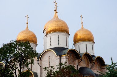 Moskova kremlin Katedralde. Rusya