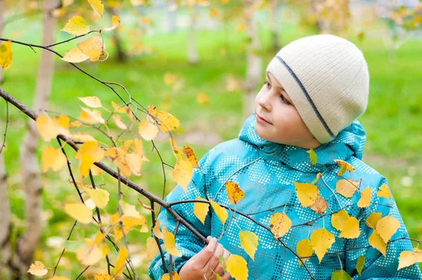 Een jongen in een berk forest in de herfst — Stockfoto