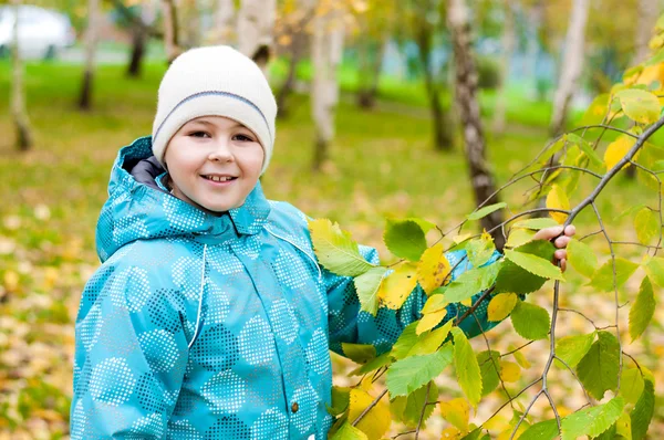 Un ragazzo in una foresta di betulle in autunno — Foto Stock