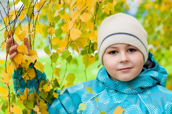 Мальчик в березовом лесу осенью — стоковое фото