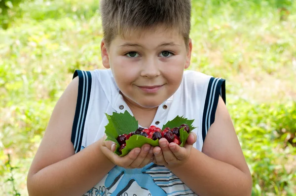 Niño con cerezas en el jardín — Foto de Stock