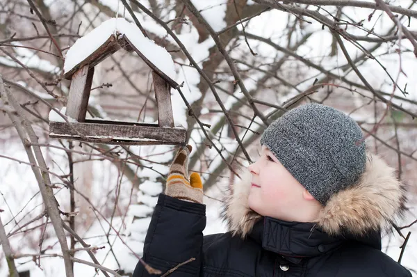 Der Junge füttert im Winter die Vögel im Futterhäuschen — Stockfoto