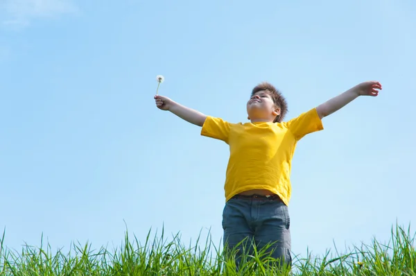 Un niño está parado sobre una hierba verde —  Fotos de Stock