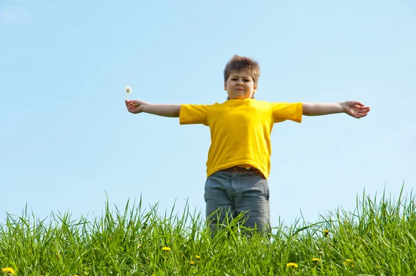 Un niño está parado sobre una hierba verde —  Fotos de Stock