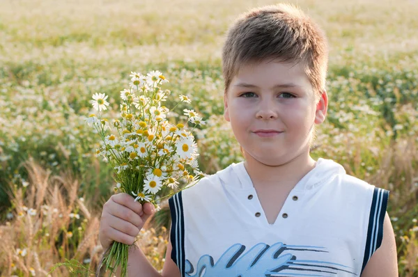 Chłopiec z bukietem stokrotek w polu — Zdjęcie stockowe
