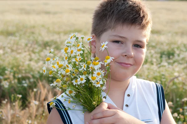 Un niño con un ramo de margaritas en un campo — Foto de Stock