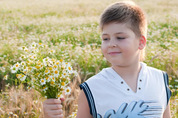 A boy with a bouquet of daisies in a field — Stock Photo, Image