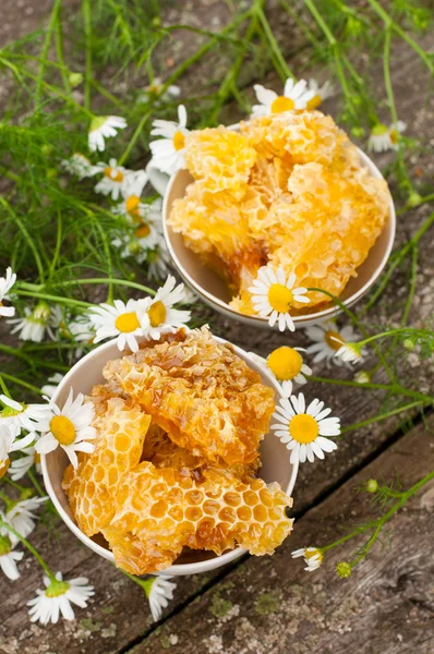 A delicious Honey comb and daisies — Stock Photo, Image