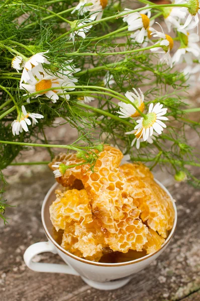 Un delizioso pettine di miele e margherite — Foto Stock