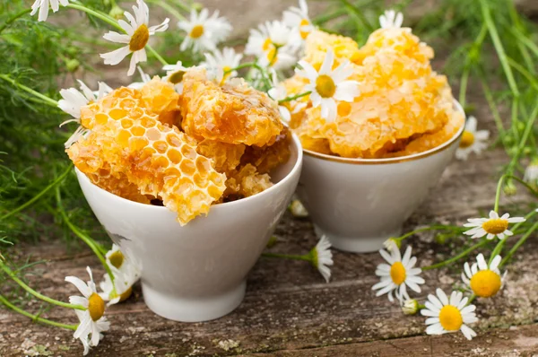 Eine köstliche Honigwabe und Gänseblümchen — Stockfoto