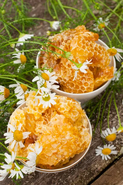 A delicious Honey comb and daisies — Stock Photo, Image