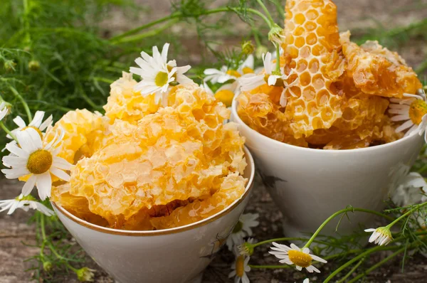 A delicious Honey comb and daisies — Stock Photo, Image