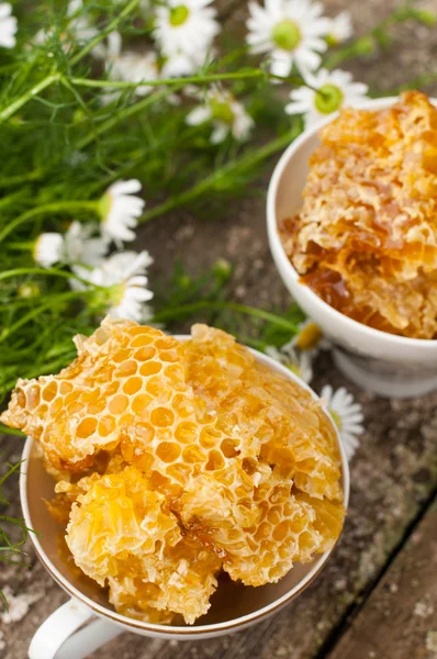 Egy finom mézet fésű és a százszorszépek — Stock Fotó