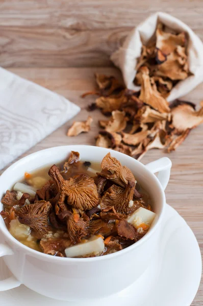 Sopa de champiñones con setas secas —  Fotos de Stock