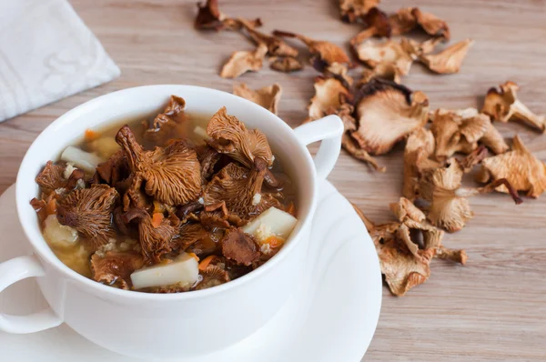 Mushroom soup with dried mushrooms — Stock Photo, Image