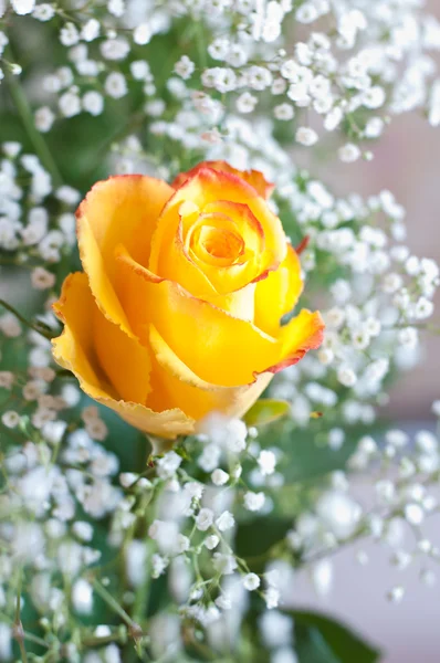 Blumenstrauß mit Rosen und Zigeunerblumen — Stockfoto