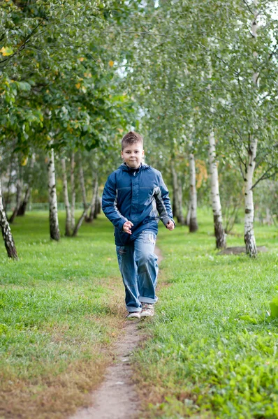 Мальчик на тропинке в парке — стоковое фото
