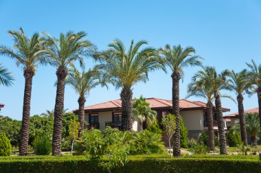 Palm garden evin önünde