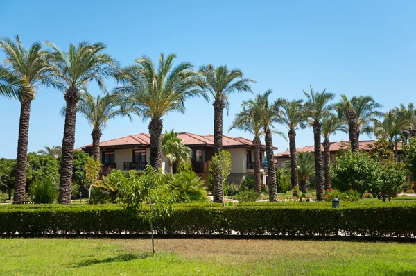 Palm garden evin önünde