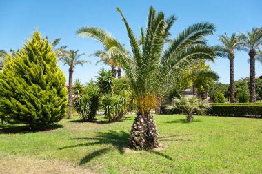 Palm garden evin önünde