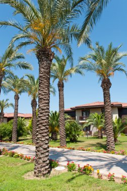 Palm garden evin önünde