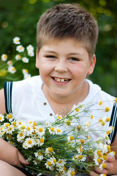 Boy with field daisies — Stock Photo, Image