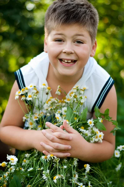 Menino com margaridas de campo — Fotografia de Stock