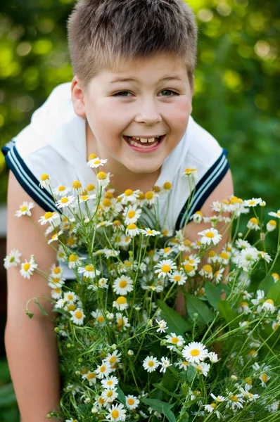 Menino com margaridas de campo — Fotografia de Stock