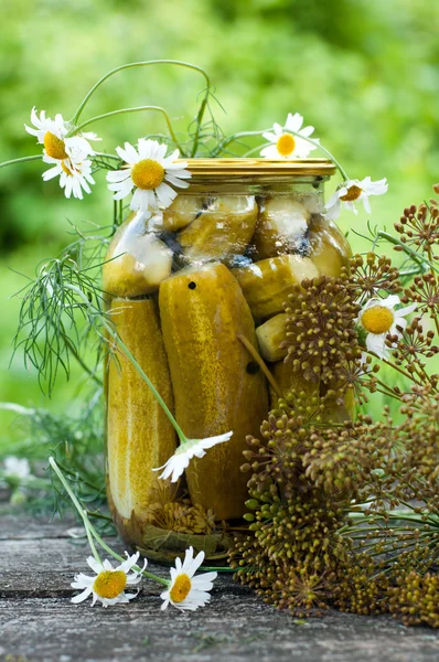 Home canning cucumbers with spices — Stock Photo, Image