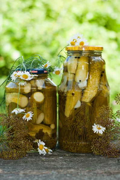 Home canning cucumbers with spices — Stock Photo, Image