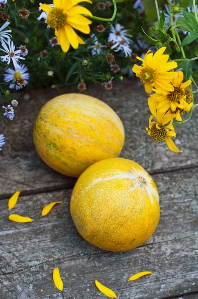 Ripe melon on the table — Stock Photo, Image