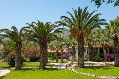 palmiye ağaçları ile tropikal otel