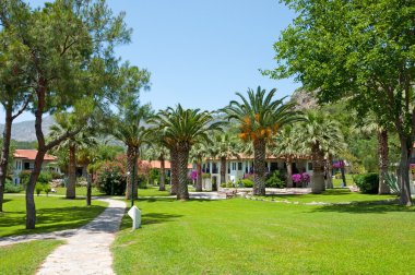 palmiye ağaçları ile tropikal otel