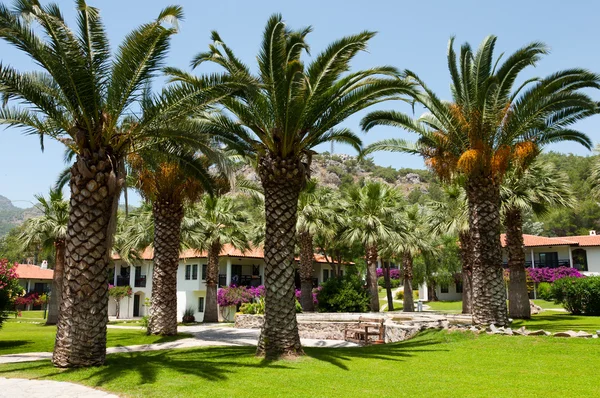 Hotel tropical com palmeiras — Fotografia de Stock