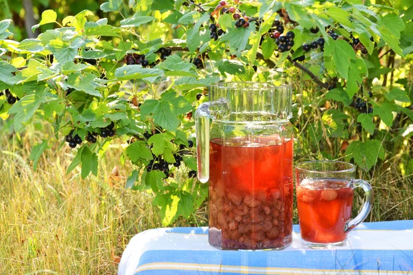 Compote of fresh berries on the nature — Stock Photo, Image