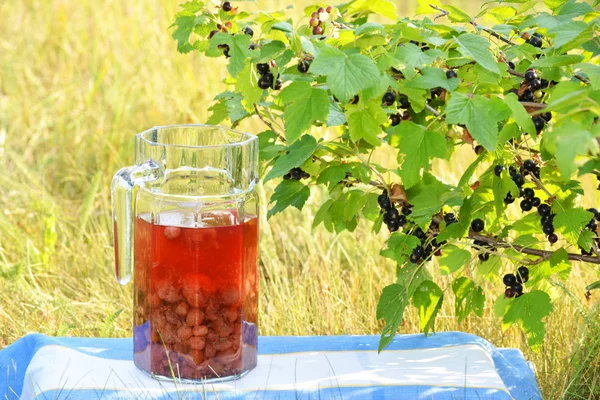 Compote of fresh berries on the nature — Stock Photo, Image