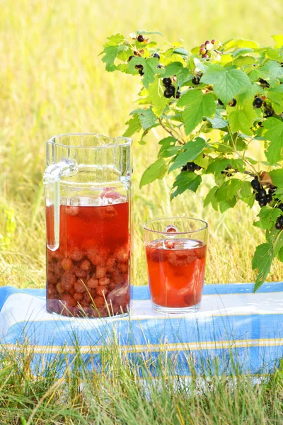 Compote of fresh berries on the nature — Stock Photo, Image