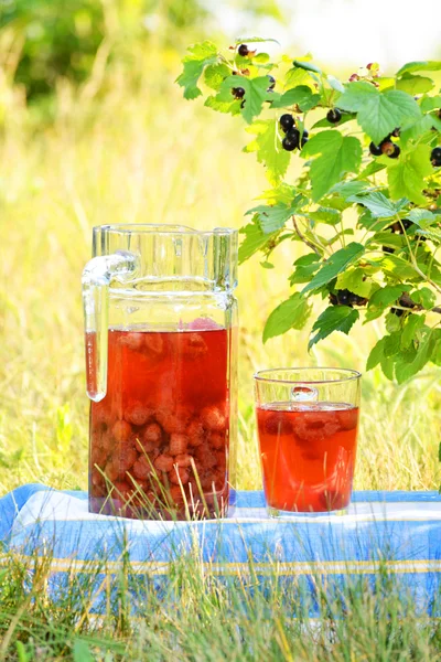 Compote of fresh berries on the nature — Stock Photo, Image