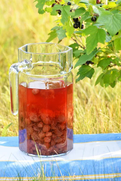 Compote of fresh berries on the nature — Stock Photo, Image