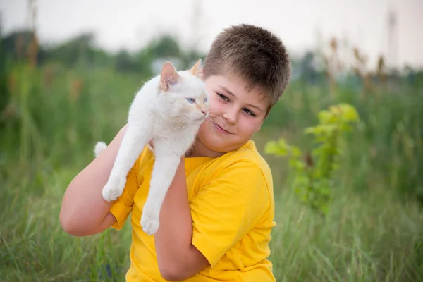 Niño con un gato blanco — Foto de Stock