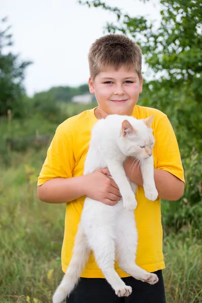 Boy with a white cat — Stock Photo, Image