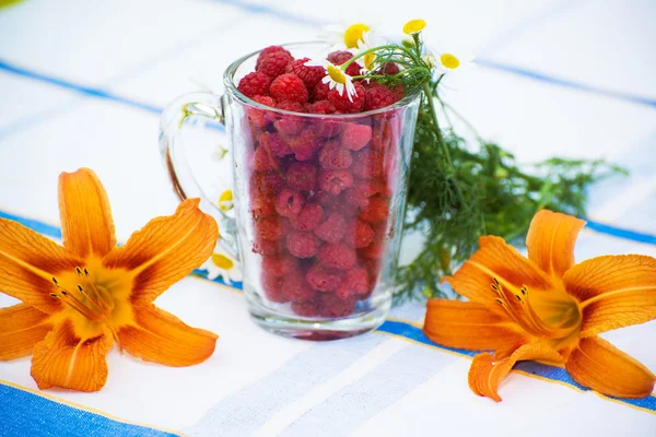 Raspberry jam and fresh berries — Stock Photo, Image